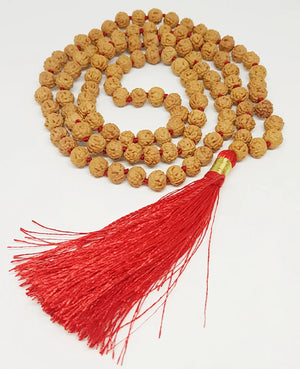 Chikna Rudraksha Mala