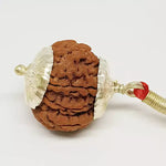 8 Faced Rudraksha — packaging back showing wearing instructions
