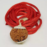 8 Faced Rudraksha — main bead view showing mukhi (faces)