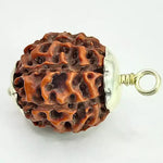 Eight Mukhi Premium Rare Rudraksha — authenticity certificate and lab certification