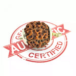 Eight Mukhi Premium Rare Rudraksha — packaging back cover with usage guide