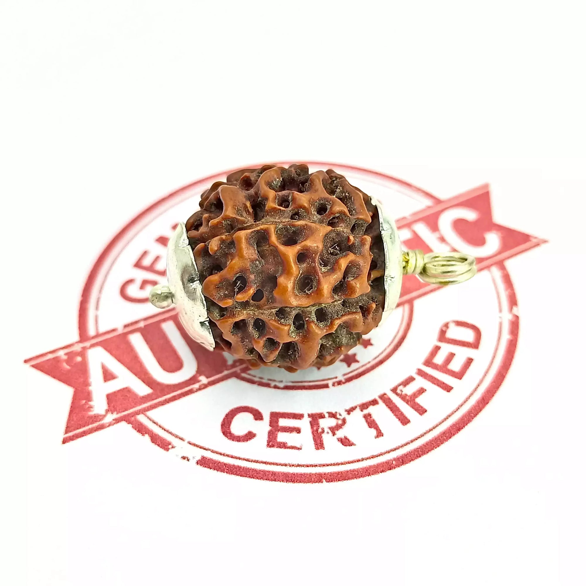 Eight Mukhi Premium Rare Rudraksha — packaging back cover with usage guide