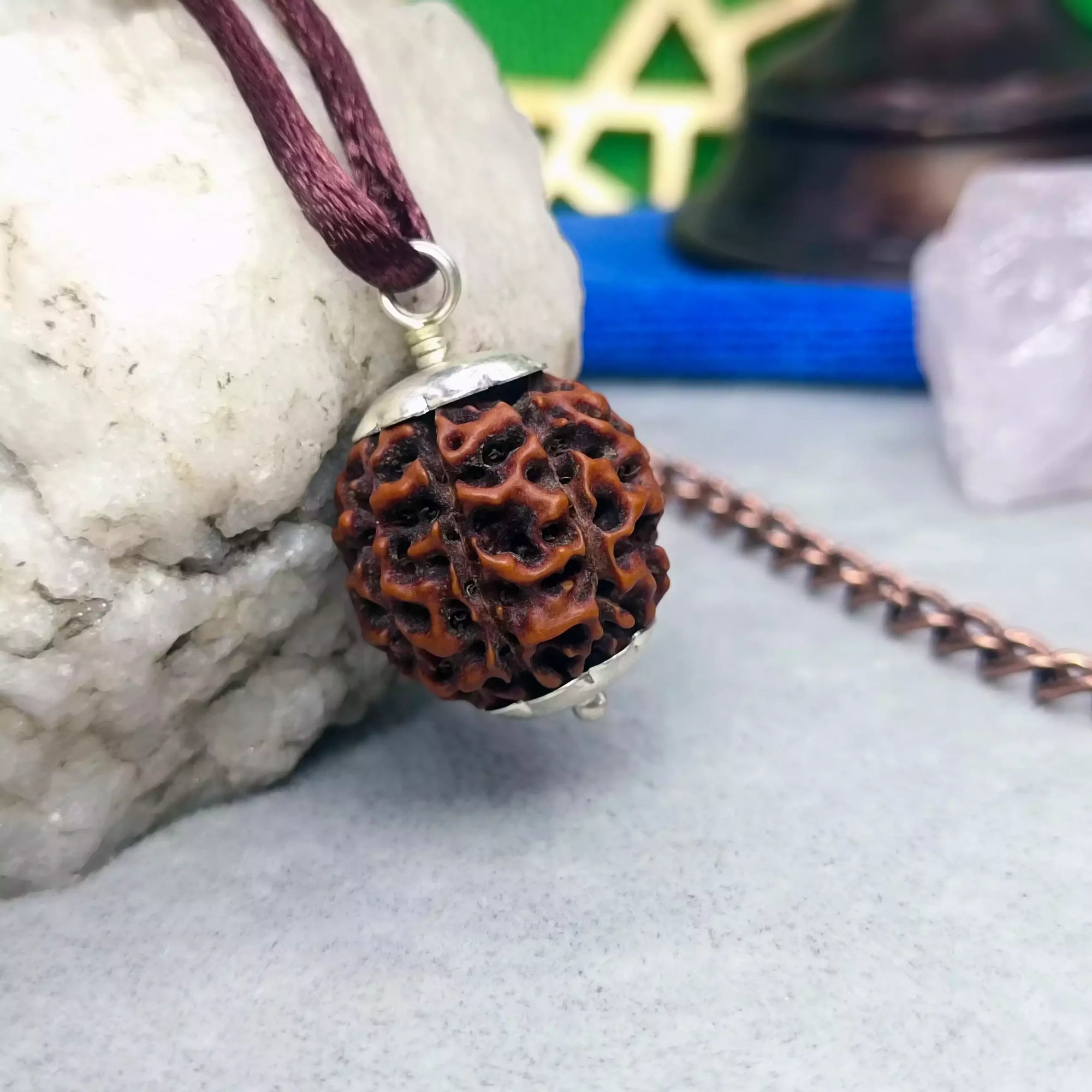 Eight Mukhi Premium Rare Rudraksha — comparison size reference next to coin