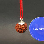 Eight Mukhi Premium Rare Rudraksha — clasp and elastic threading detail
