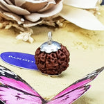 Eight Mukhi Premium Rare Rudraksha — close-up of Eight Mukhi Premium Rare Rudraksha stones revealing natural patterns