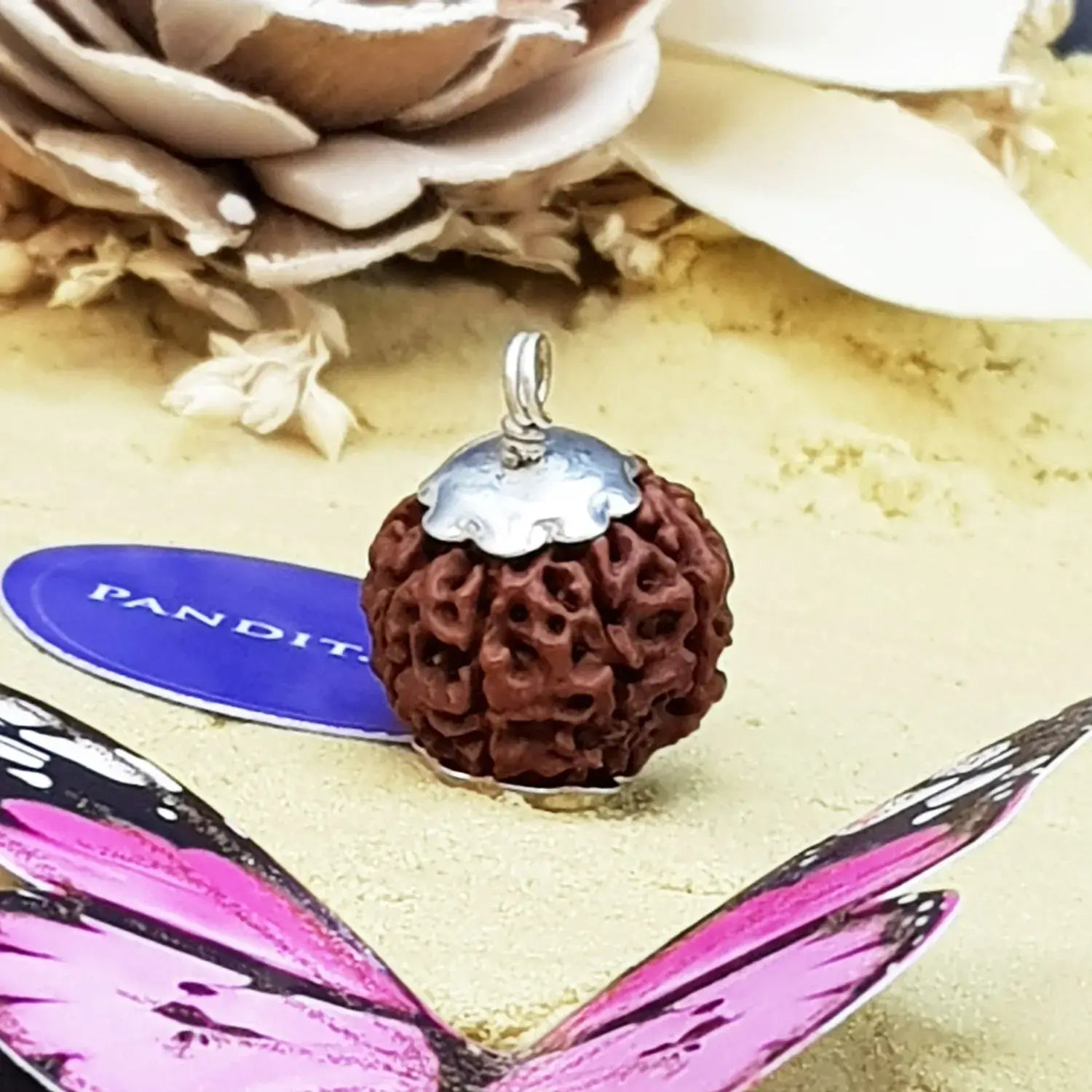 Eight Mukhi Premium Rare Rudraksha — close-up of Eight Mukhi Premium Rare Rudraksha stones revealing natural patterns