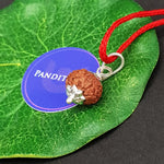 8 Mukhi Indonesia Rudraksha