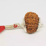 11 Faced Rudraksha — packaging back showing wearing instructions