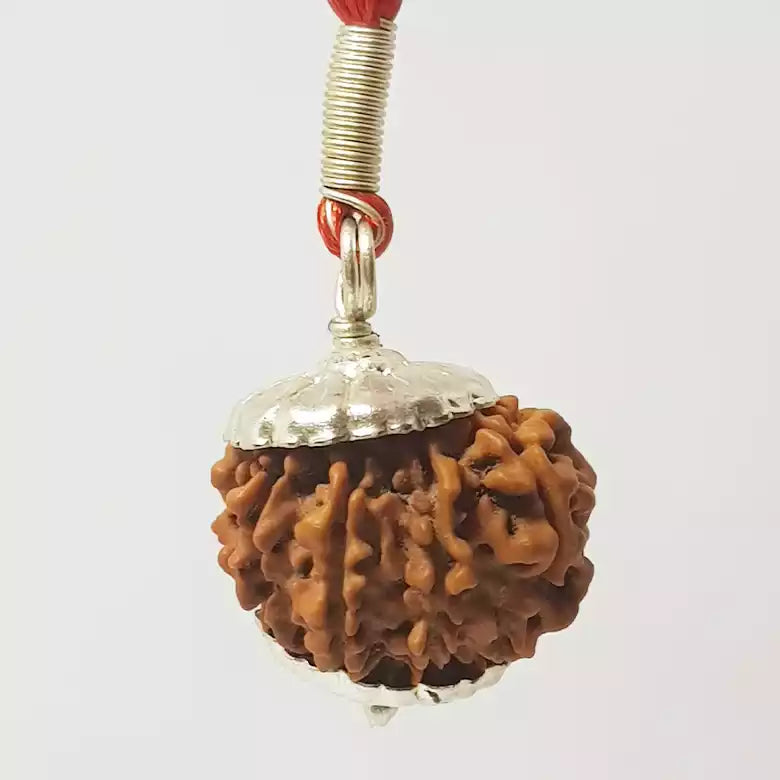 11 Faced Rudraksha — main bead view showing mukhi (faces)