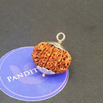 Eleven Mukhi Premium Rare Rudraksha — authenticity certificate and lab report