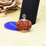 Eleven Mukhi Premium Rare Rudraksha — close-up macro showing surface texture and natural lines