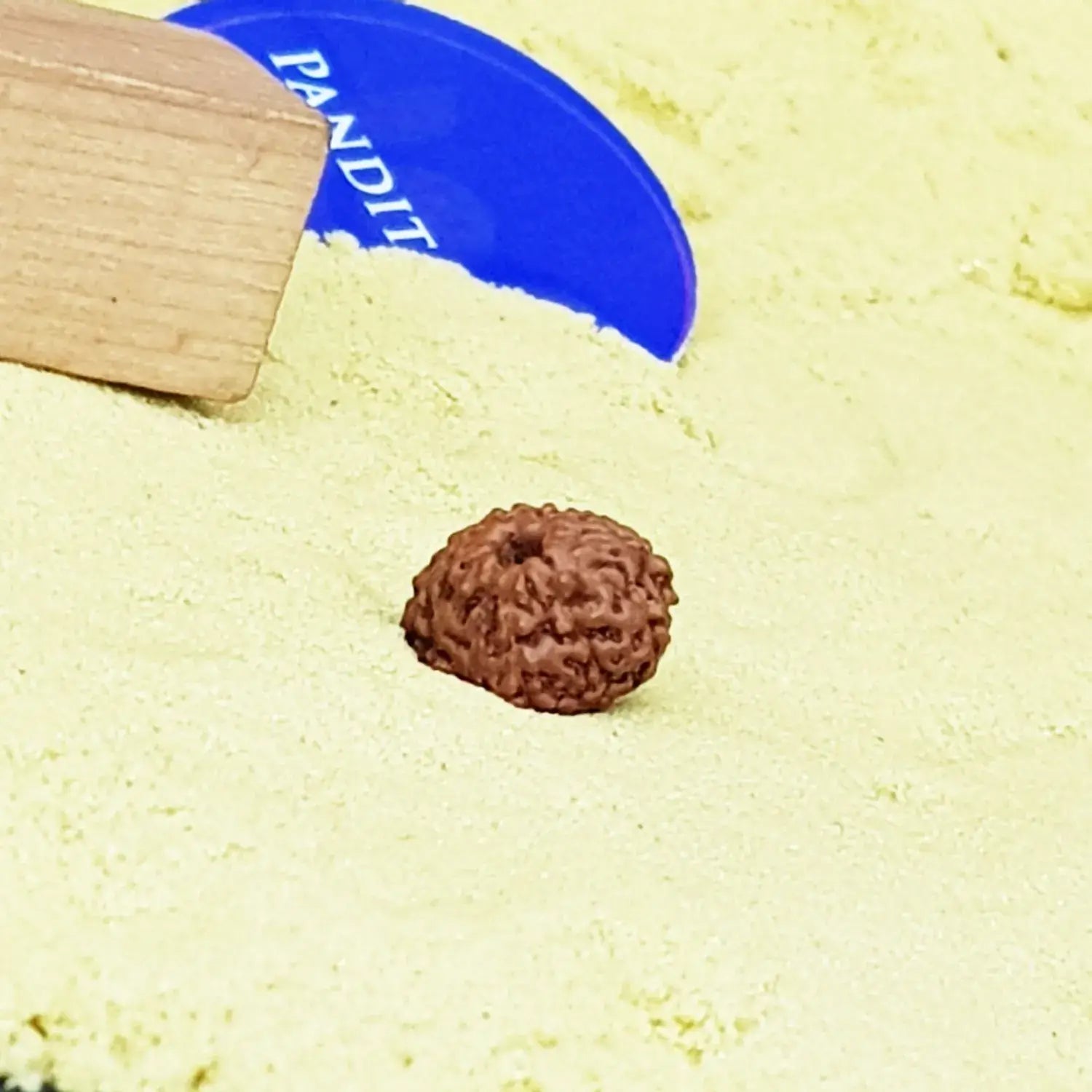 11 Mukhi Indonesia Rudraksha