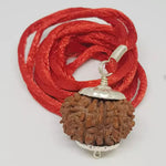 15 Faced Rudraksha — authenticity certificate and lab report