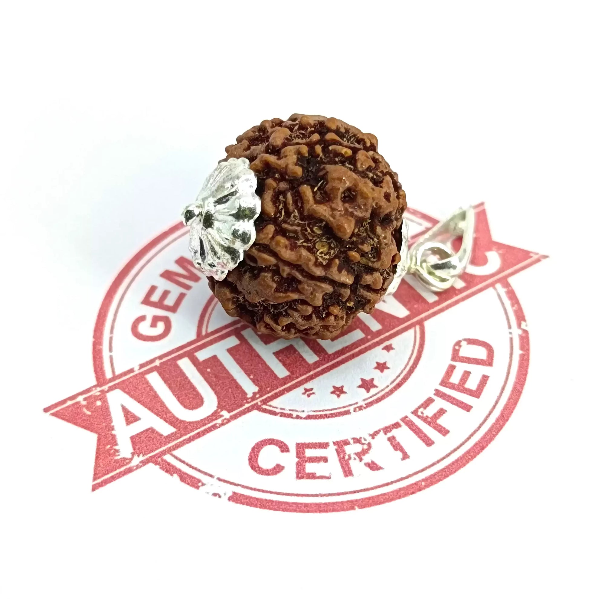 Five Mukhi Premium Rare Rudraksha — bead worn on red thread