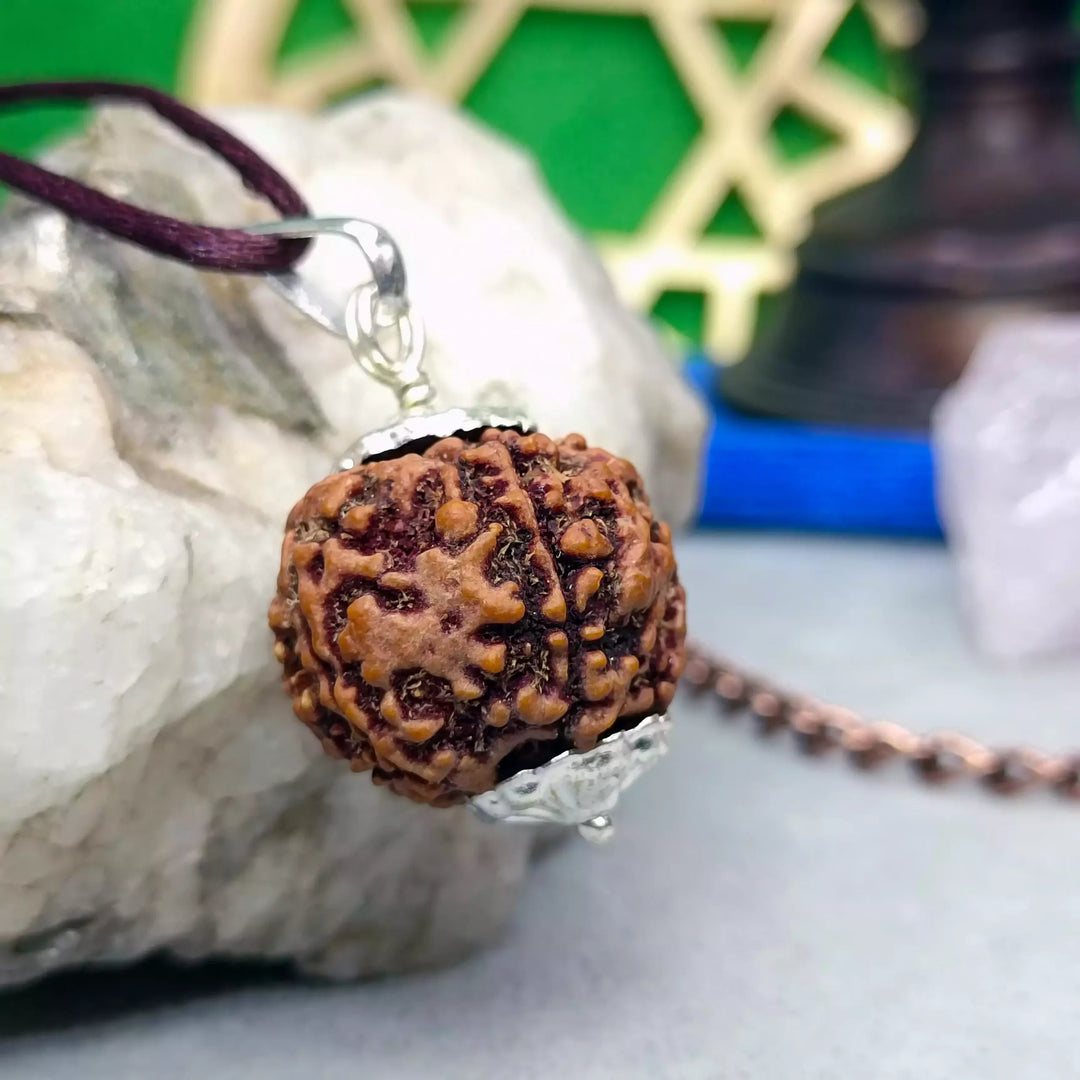 पांच मुखी प्रीमियम दुर्लभ रुद्राक्ष