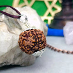 Five Mukhi Premium Rare Rudraksha — main bead view showing mukhi (faces)