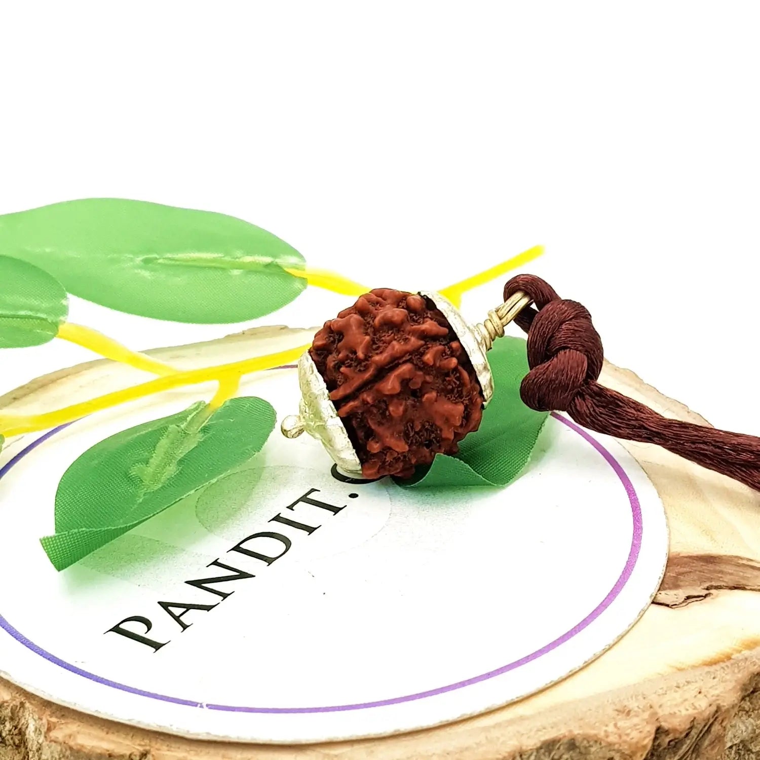 Five Mukhi Premium Rare Rudraksha