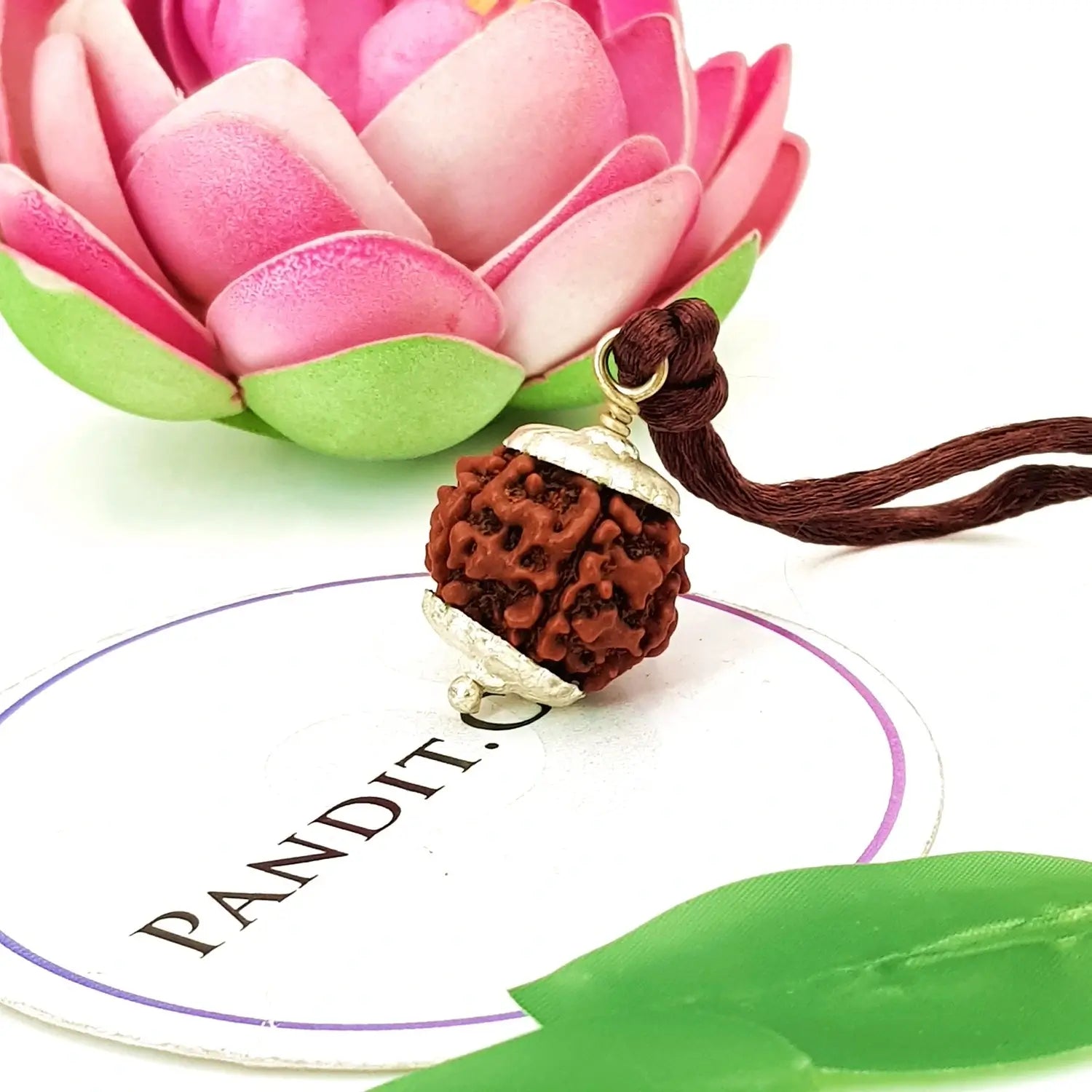 Five Mukhi Premium Rare Rudraksha — bead size reference