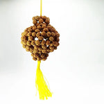 Five Mukhi Rudraksha Wall Hanging — main bead view showing mukhi (faces)