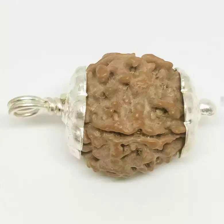 4 Faced Rudraksha — main bead view showing mukhi (faces)