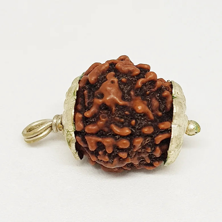 4 Faced Rudraksha — packaging back showing wearing instructions