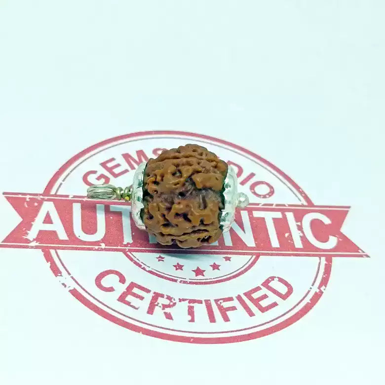 Four Mukhi Premium Rare Rudraksha — bead worn on red thread