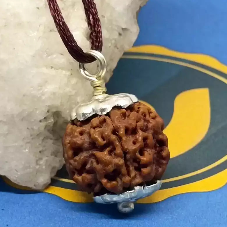 Four Mukhi Premium Rare Rudraksha — packaging back showing wearing instructions