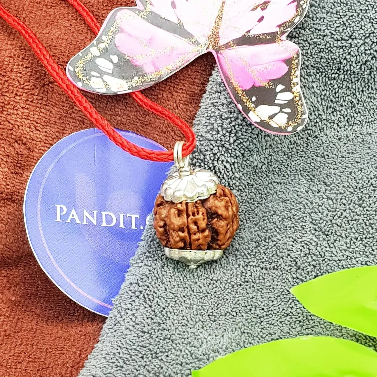 Four Mukhi Premium Rare Rudraksha — close-up macro showing surface texture and natural lines
