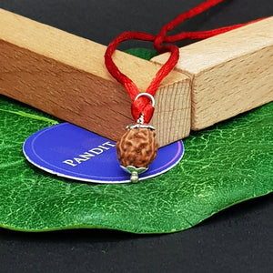 4 Mukhi Rudraksha - Indonesia