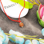 4 Mukhi Rudraksha — bead size reference