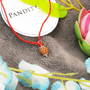 4 Mukhi Rudraksha - Indonesia