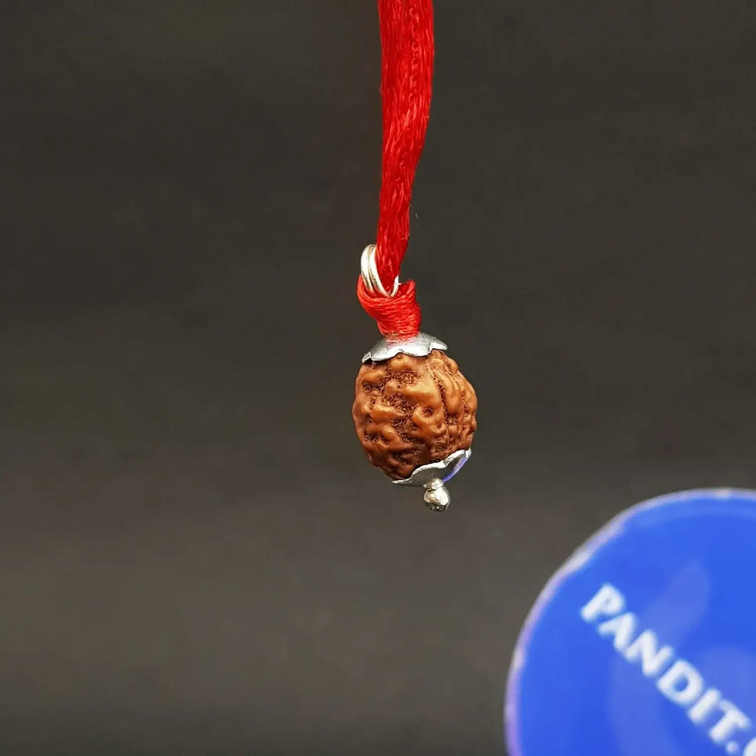 4 Mukhi Rudraksha — packaging back showing wearing instructions
