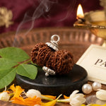 Fourteen Mukhi Premium Rare Rudraksha — main bead view showing mukhi (faces)