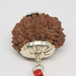 14 Faced Rudraksha — main bead view showing mukhi (faces)