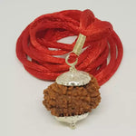 14 Faced Rudraksha — bead size reference