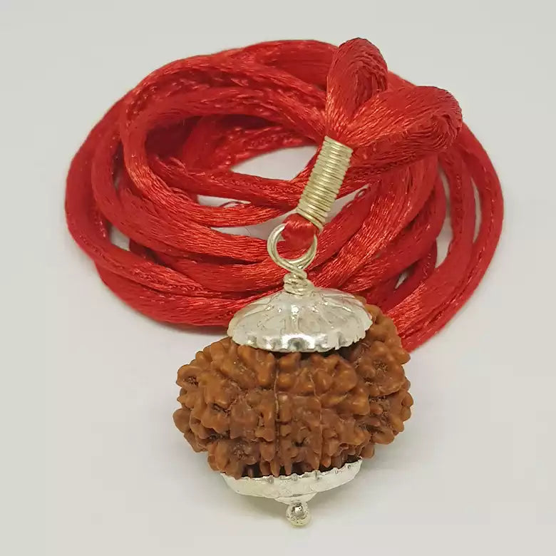 14 Faced Rudraksha — bead size reference