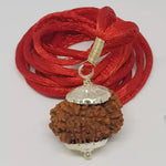 14 Faced Rudraksha — authenticity certificate and lab report