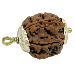 Ganesh Rudraksha