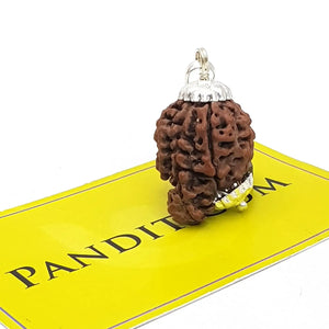 Ganesh Super Premium Rudraksha