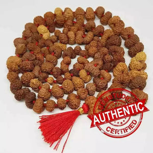 Gauri Shankar Indonesia Rudraksha Mala