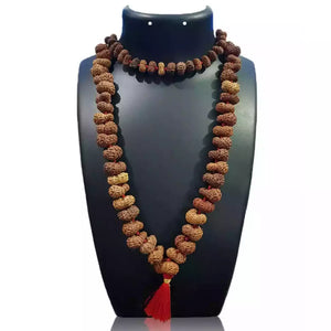 Gauri Shankar Rudraksha Mala