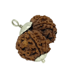Gauri Shankar Rudraksha