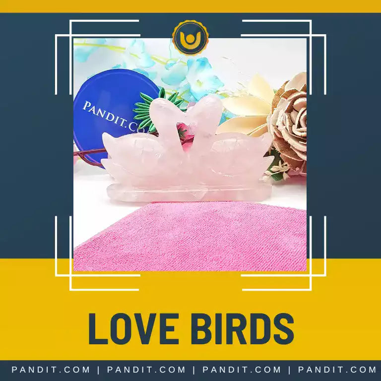 Love Birds Collections Page