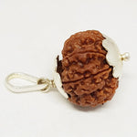 Nine Mukhi Premium Rare Rudraksha — bead size reference