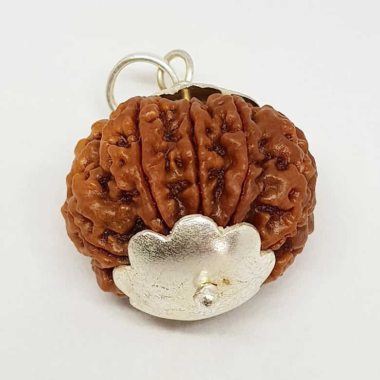 Nine Mukhi Premium Rare Rudraksha — authenticity certificate and lab report