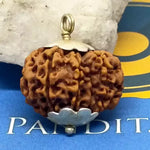 Nine Mukhi Premium Rare Rudraksha — close-up macro showing surface texture and natural lines