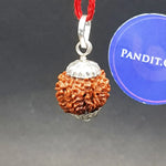 Nine Mukhi Premium Rare Rudraksha — packaging back showing wearing instructions