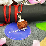 Nine Mukhi Premium Rare Rudraksha — close-up macro showing surface texture and natural lines