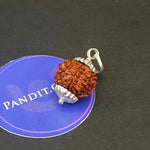 Nine Mukhi Premium Rare Rudraksha — bead worn on red thread