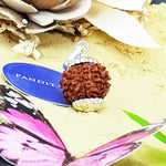 Nine Mukhi Premium Rare Rudraksha — main bead view showing mukhi (faces)